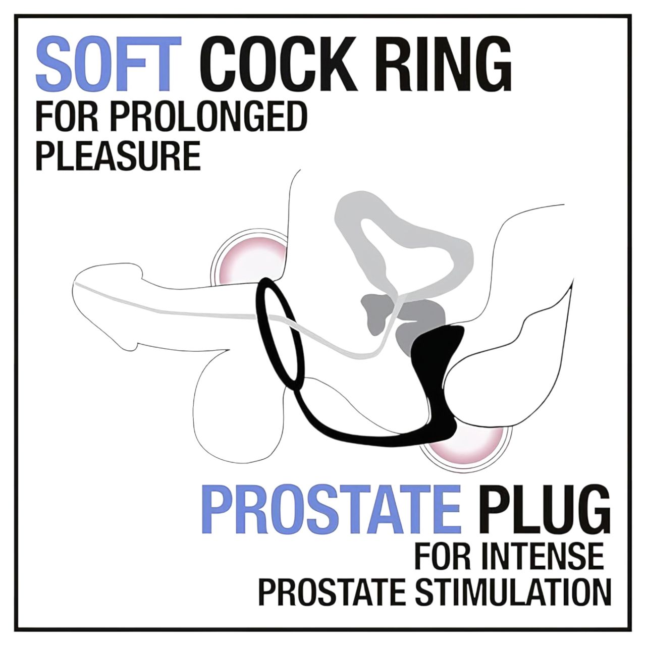 Anal Adventures Platinum - anál dildó péniszgyűrűvel (fekete) Anal Adventures Platinum - anál dildó péniszgyűrűvel (fekete)