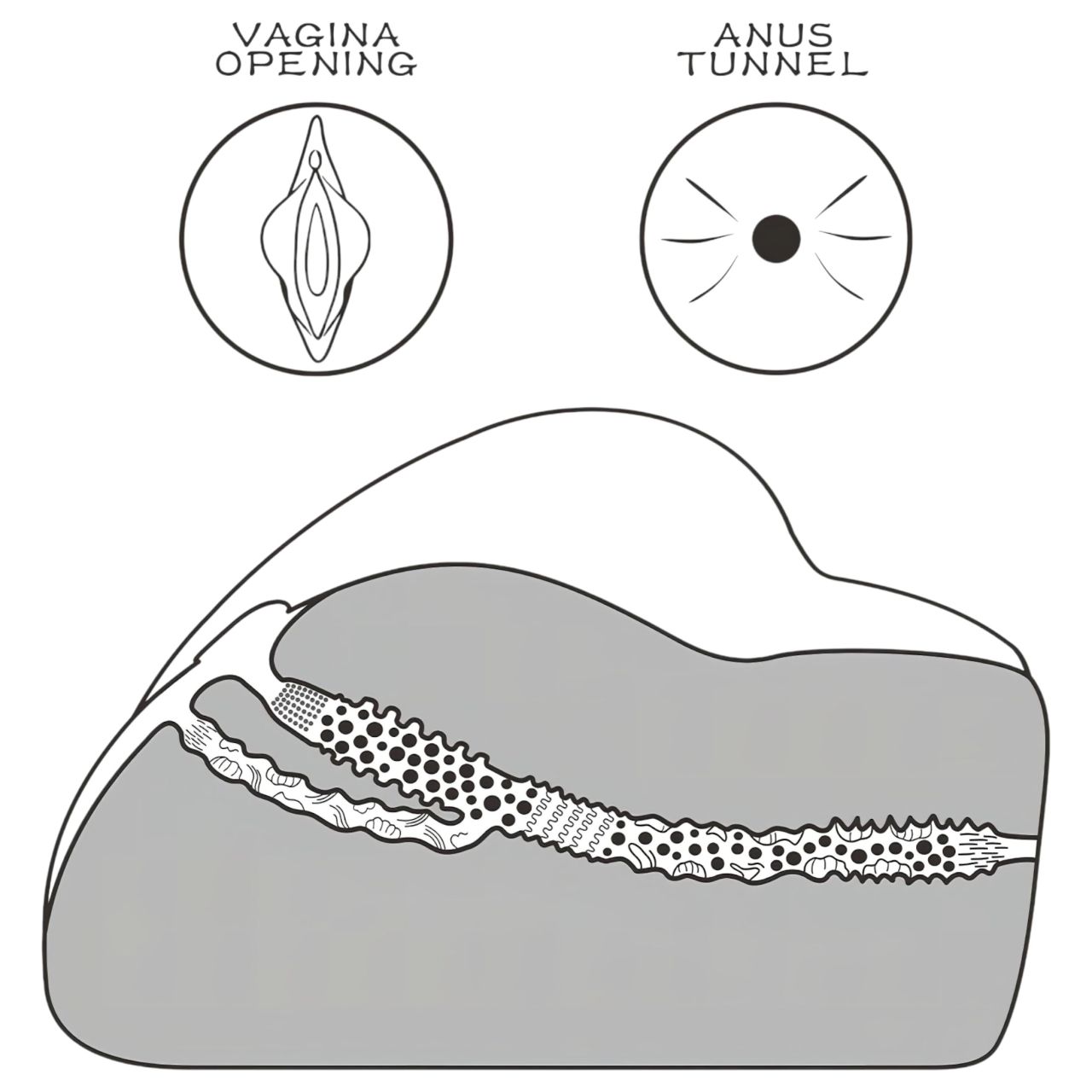 Lovetoy Streetgirl's - műpunci és popsi torzó (natúr) Lovetoy Streetgirl's - műpunci és popsi torzó (natúr)