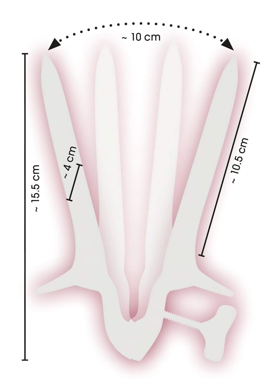 Fetish - Vagina Speculum (Hüvelykacsa) - acél Fetish - Vagina Speculum (Hüvelykacsa) - acél